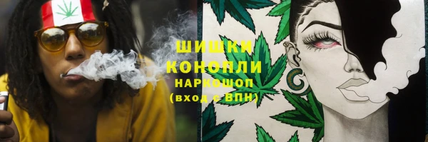 хмурый Арсеньев