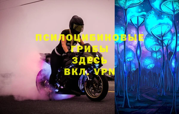 хмурый Арсеньев